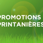 promotions printanières on green background
